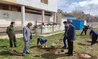 روز درختکاری در بیمارستان شهید بهشتی