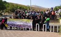 همایش پیاده روی